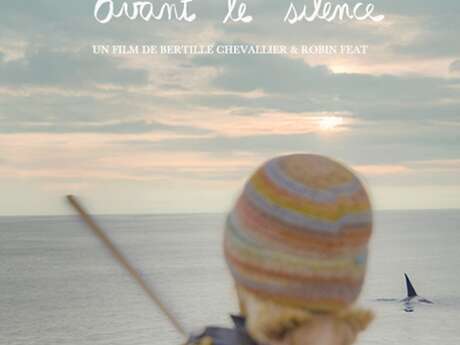 Festival Chaud devant : projection du film Strom avant le silence