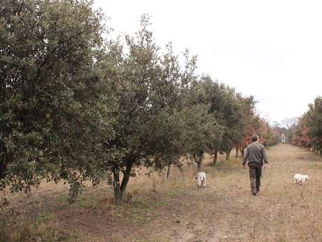 Trufficulteurs Henry et Isabelle Davin