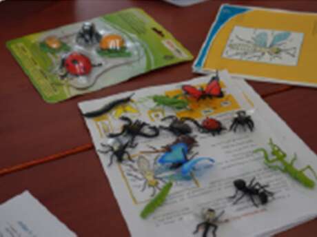 Création nature : Arthropodes et compagnie