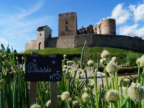 Château de Montrond les Bains