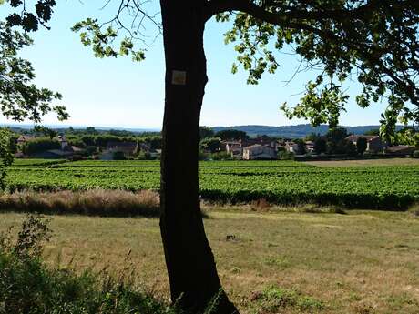 MTB no.40 - North-facing slope of the Petit Luberon