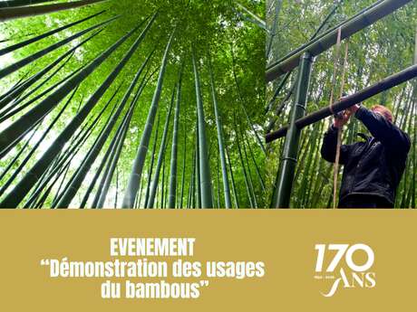 Démonstration des usages du bambous