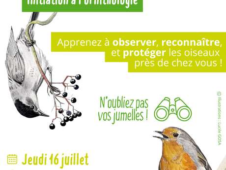Atlas de la biodiversité d'Isola - Initiation à l'ornithologie