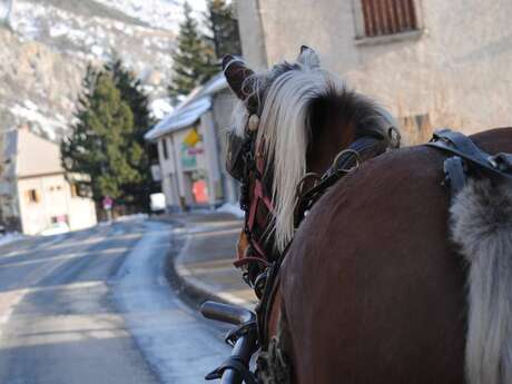 Balade en calèche