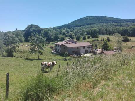 Chambre d'hôtes Le Moulin de la Fortie