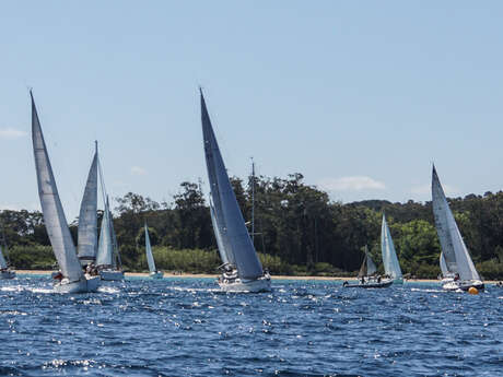 Régate Porquerolle's cup