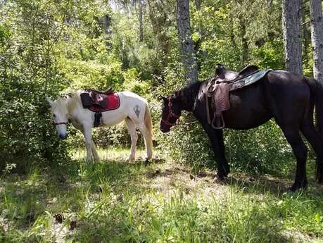 Sandalphon's stables