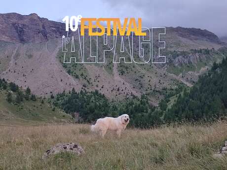 Festival de l'Alpage : Information et communication sur les chiens de protection à Prapic