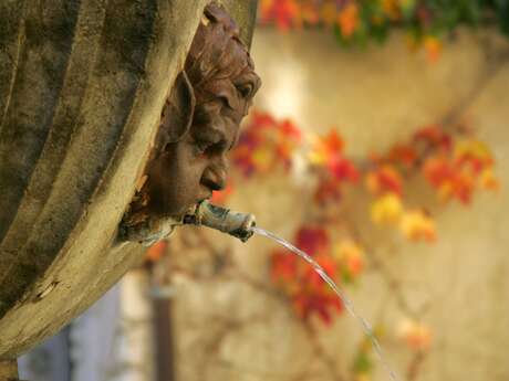 Lezing door Simon Porcher over 'De juiste prijs voor water' - Rendez-vous du Parc 2026