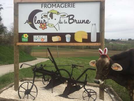 Visite de la ferme Du 1 juil au 26 août 2024