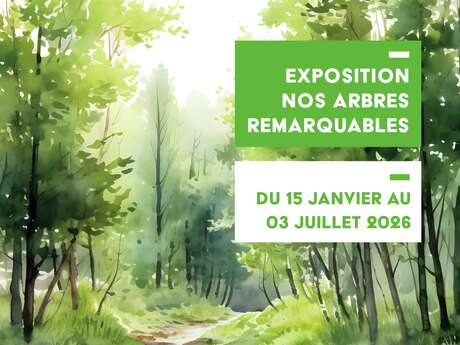 Exposition photo " Nos Arbres remarquables "