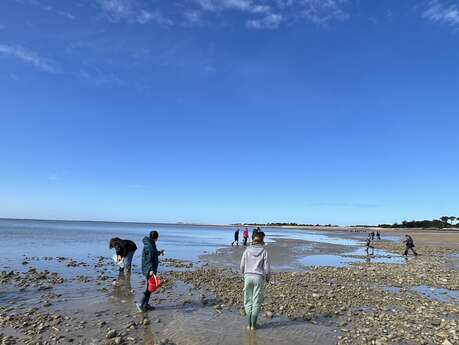 Entdeckung der Gezeitenzone