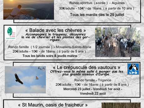 Sorties accompagnées "Coucher de soleil sur les Gorges"