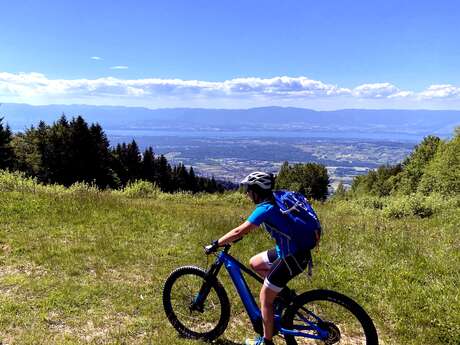 Ansichtkaart van de Mont Blanc naar het meer van Genève