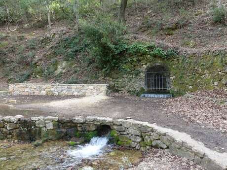 SAINT-ZACHARIE - La forêt du Défens par la piste de l'eau