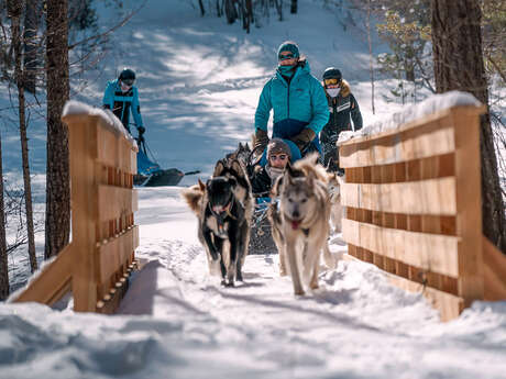 Les nocturnes chiens de traineaux - ski de fond