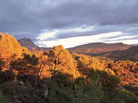 Un matin avec Cezanne à Bibémus