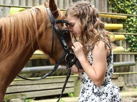 11ème chasse aux oeufs à poney