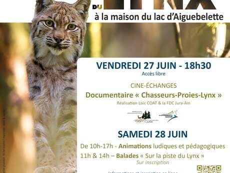 Journée Internationale du Lynx - projection film