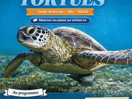 Nocturne tortues marins à l'aquarium