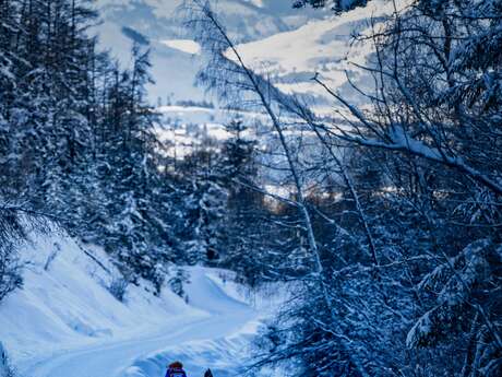 Cours de ski Nordique -  Prenez Plaisir à Skier Nordique