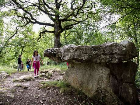 Les dolmens