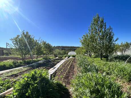 Journée en immersion - L'alimentation durable - Indus'3Days