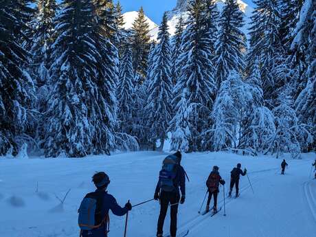 Group cross-country skiing lessons for beginners