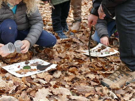 Petites bêtes pas si bêtes - atelier plein air