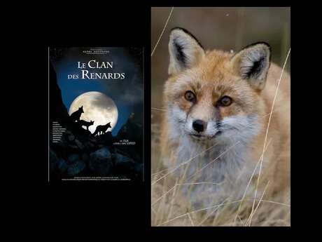 Projection - Le Clan des Renards