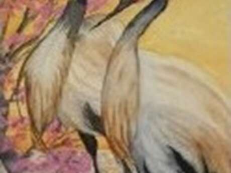 Exposition"Un regard sur les animaux sauvages" à la bibliothèque