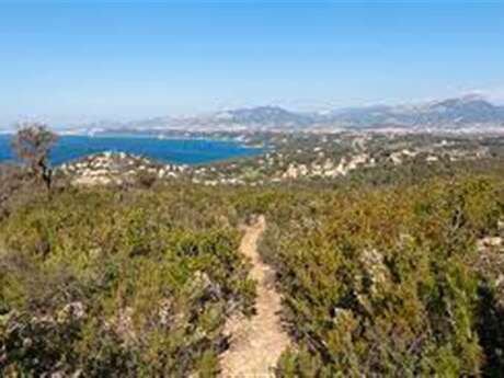 Randonnée Le Pradet - Carqueiranne