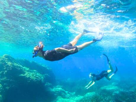 "Snorkeleur" excursion with Sanary Snorkeling