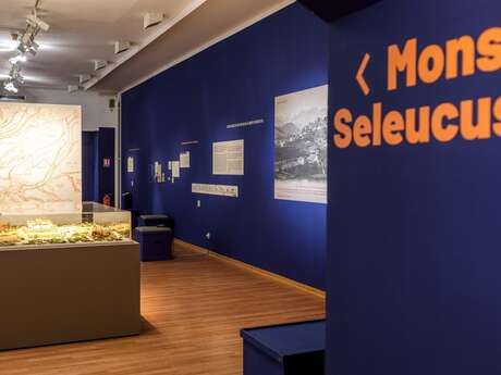 Visite de l’exposition « Mons Seleucus, carrefour divin »