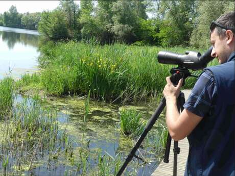 Gravière aux Oiseaux - Week-end observation