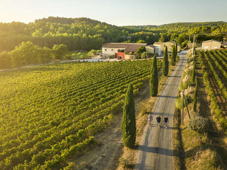 Domaine du Coulet Rouge