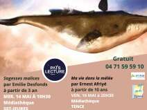 Festival Contes en Marches