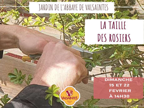 Conférence sur la taille des rosiers