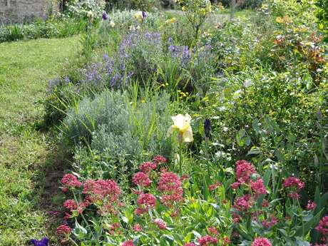 Jardin de Marie-Dominique - Bienvenue dans mon jardin au Naturel