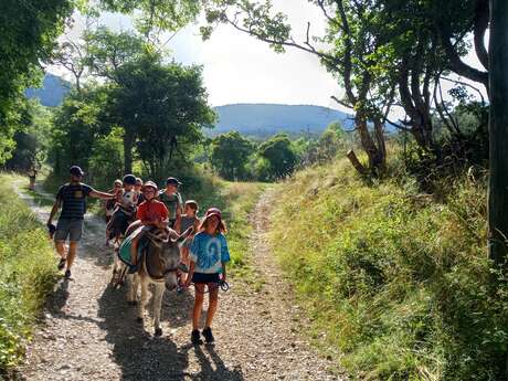Mercredi en famille avec les ânes