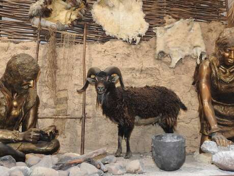 Europäische Museumsnacht im Museum für regionale Vorgeschichte