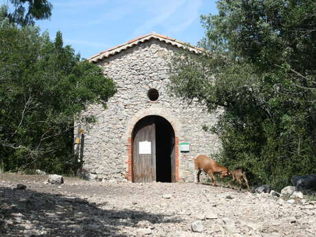 Chapelle Sainte Maxime