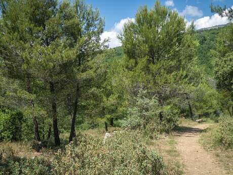 Roquevignon Departmental Nature Park