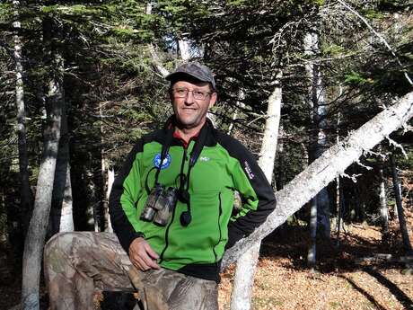 Hiking "goblin alpine"