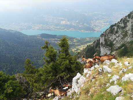 Hiking : la Pointe de Talamarche