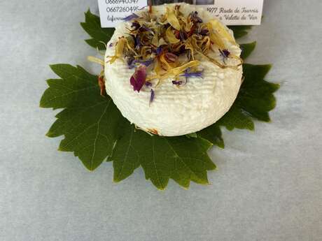 La ferme de Tourris Capri Corne