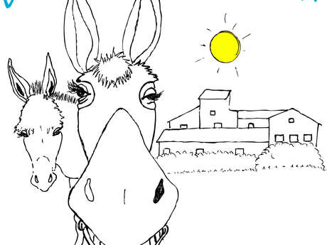 Balade avec les ânes - Mane au coucher de soleil