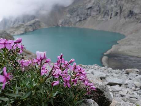 La vie en marge des glaciers