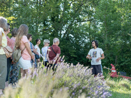 Escapades d'été - Visite commentée de la ferme-distillerie Herba Robert avec dégustation