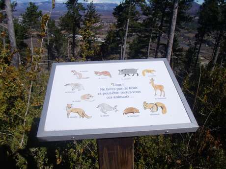 Tour de la Colle (N°2)